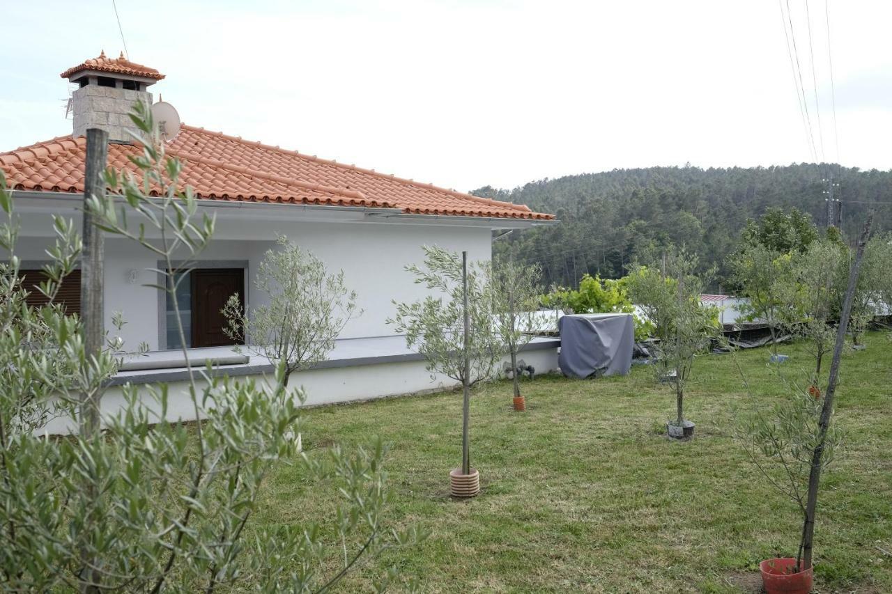Casa Do Aido De Cima Villa Vale de Cambra Bagian luar foto